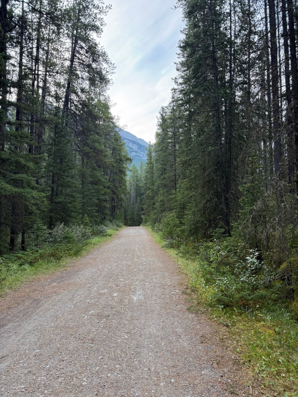 Great Divide Mountain Bike Route Day 10 &&nbsp;11