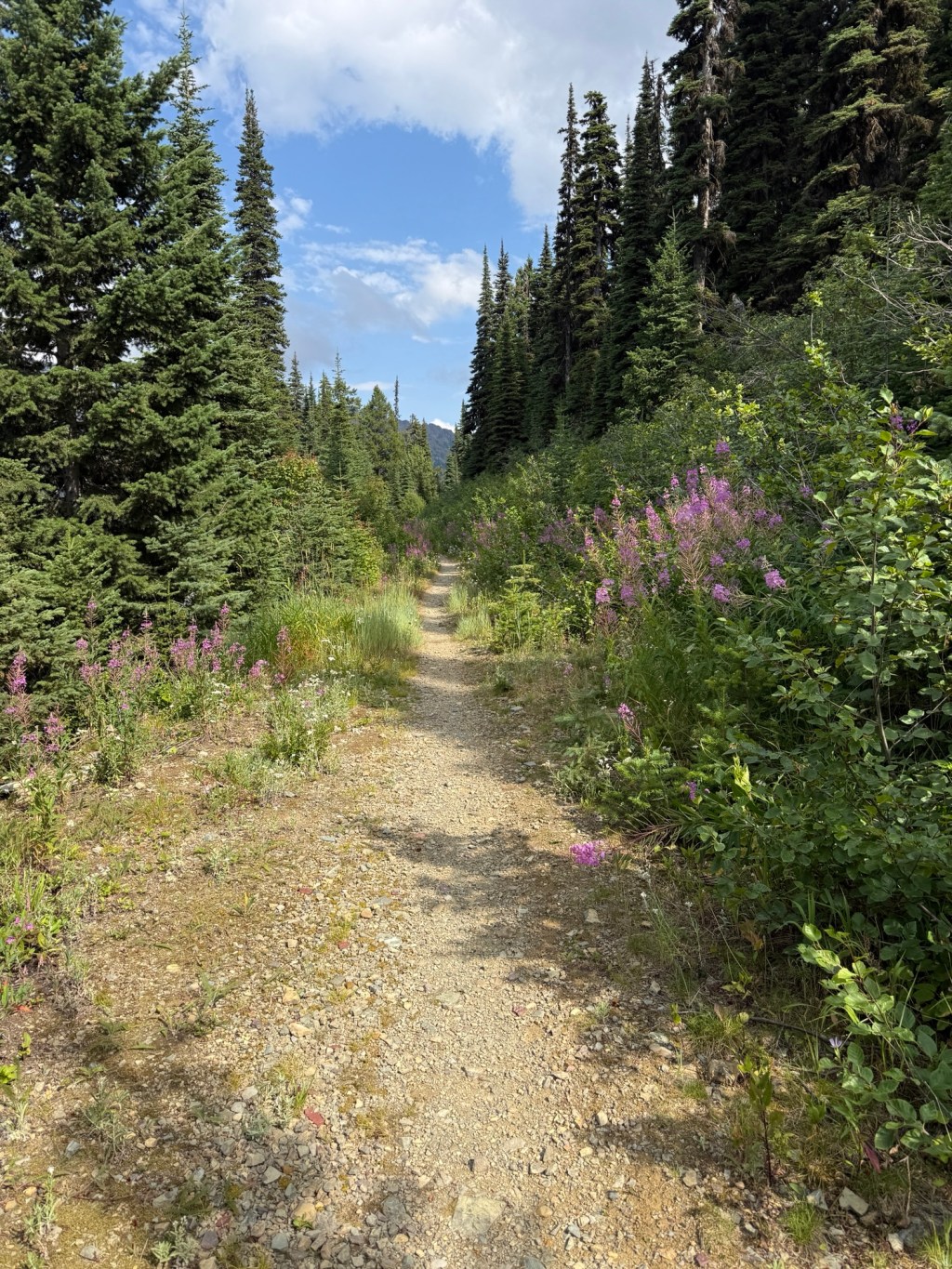 Great Divide Mountain Bike Route Day 18 & 19 & 20 &&nbsp;21